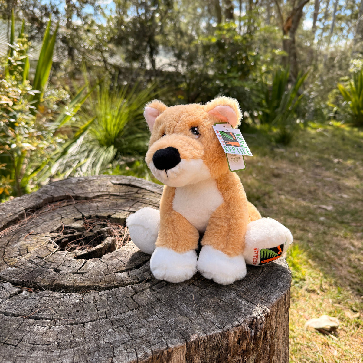 Dingo Plushie