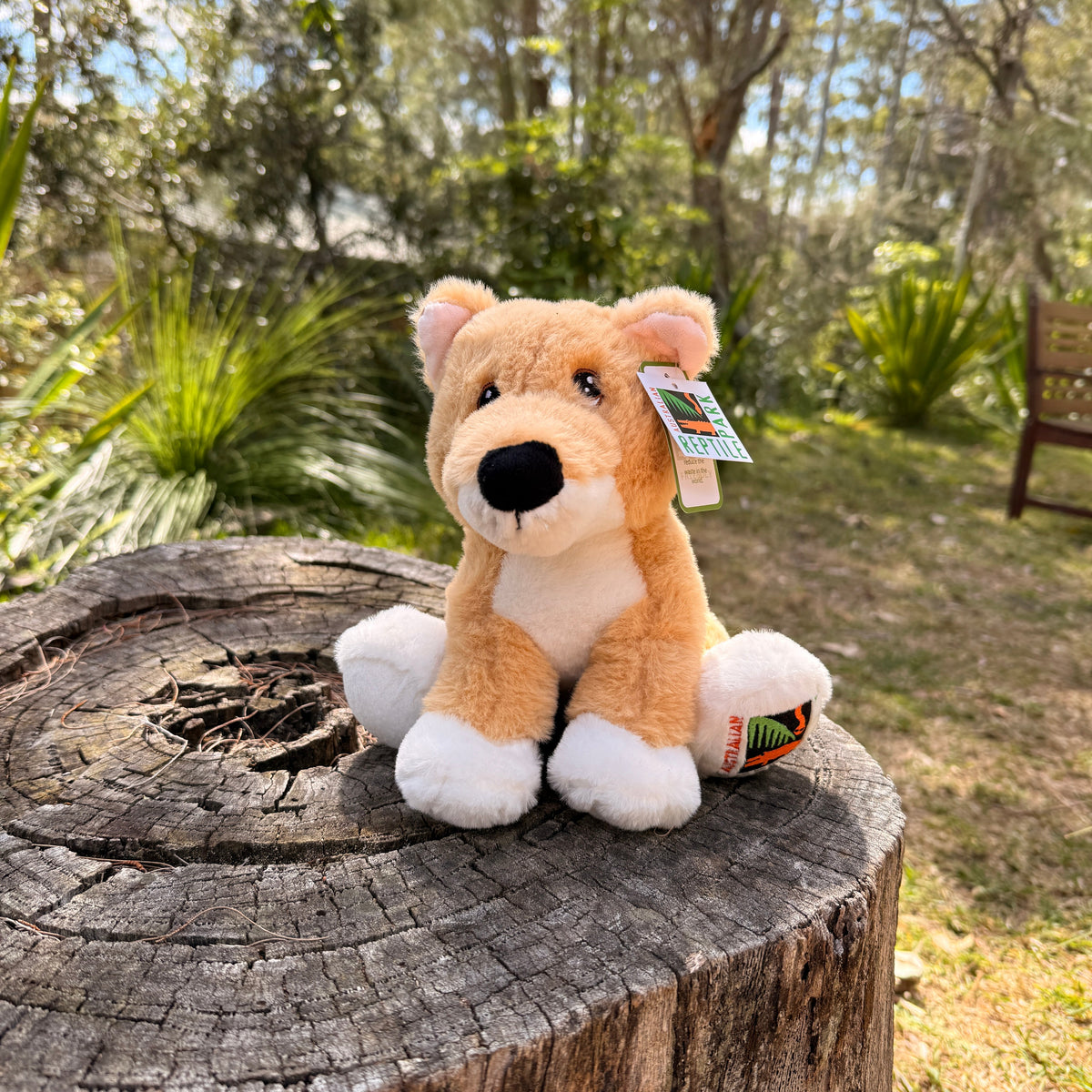 A plush dingo toy with tan, cream, and white fur sits on a weathered tree stump in an outdoor backyard setting with trees and grass in the background.