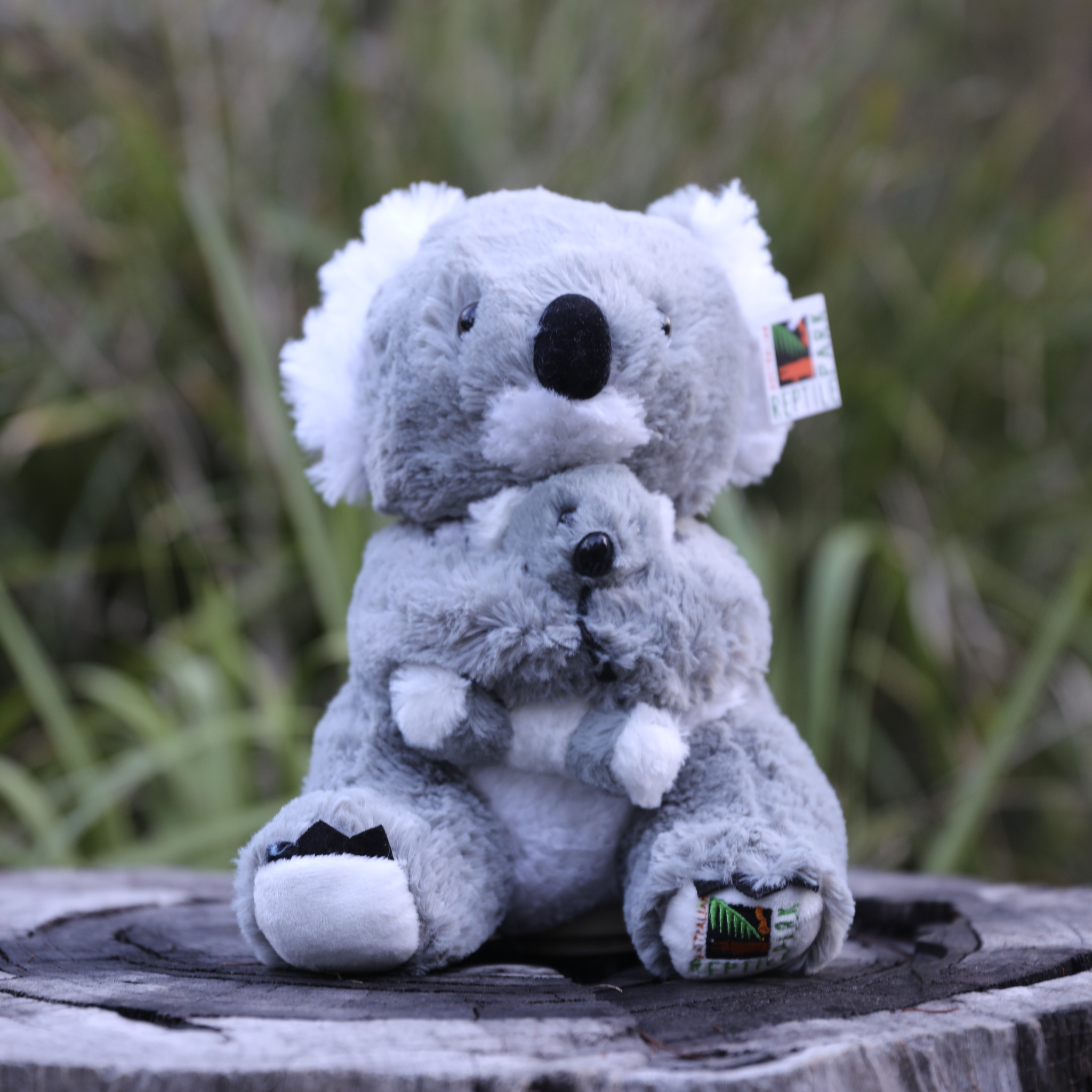 Elsa the Koala Plushie