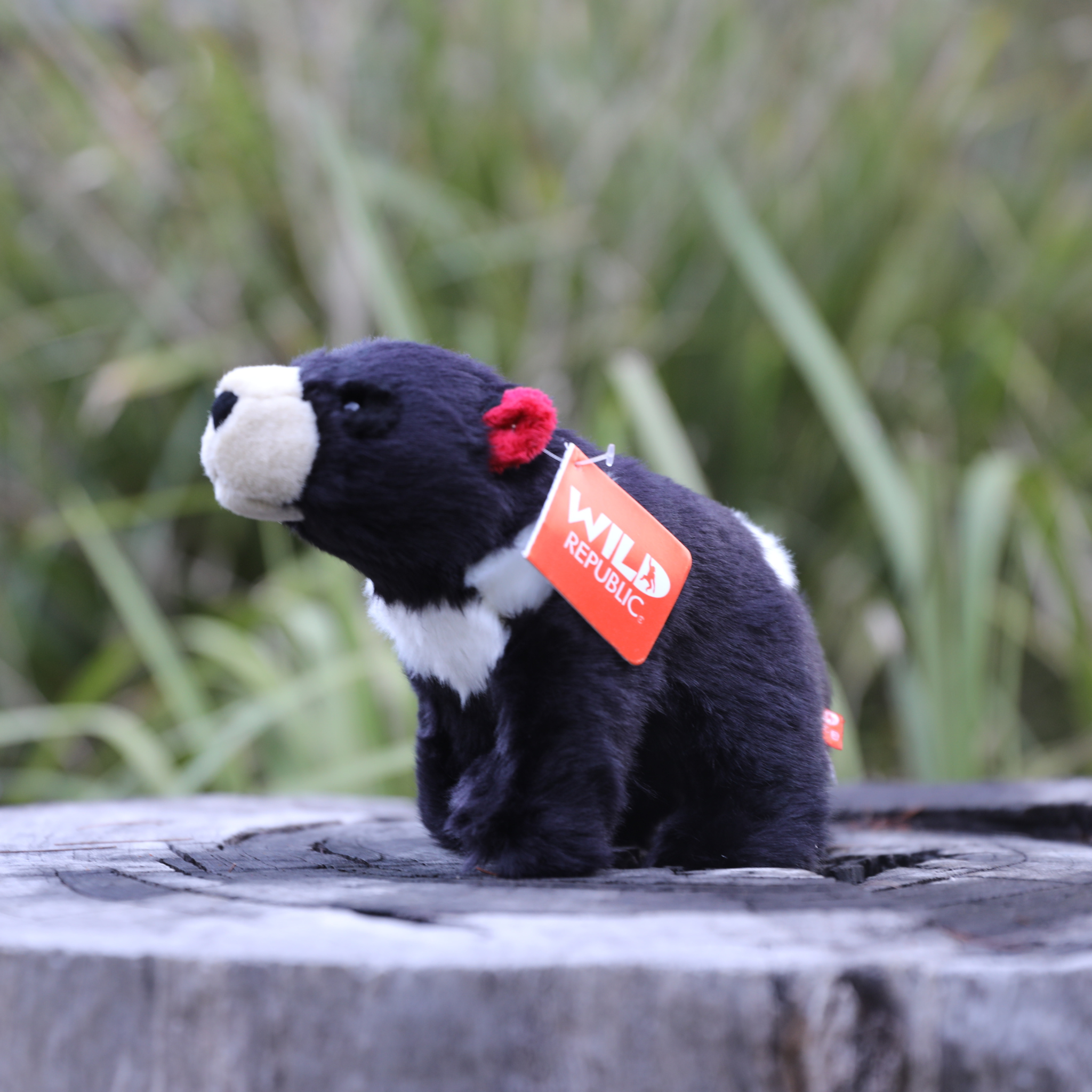 Tasmanian Devil Plushie