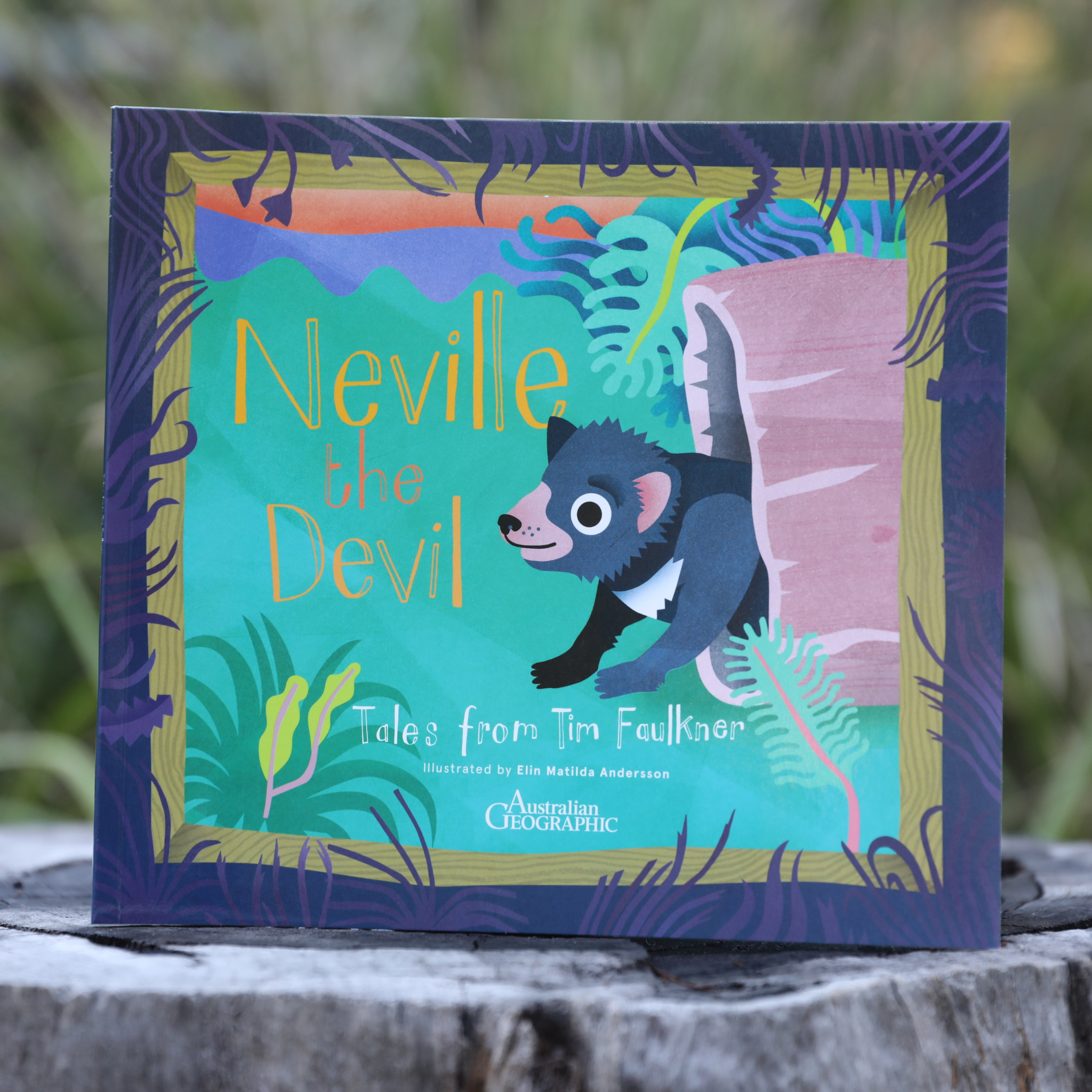 Neville the Devil Book