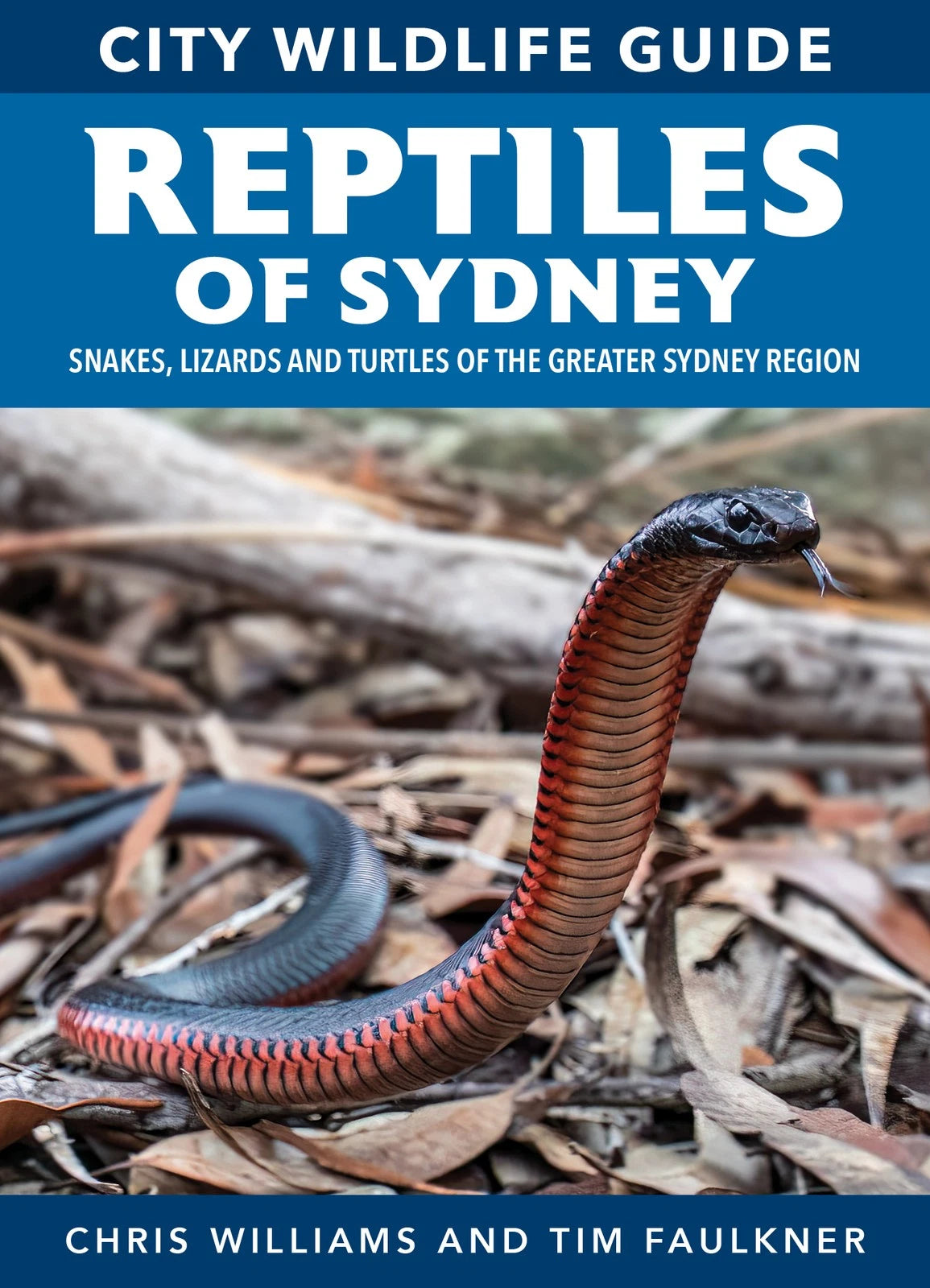 City Wildlife Guide: Reptiles of Sydney